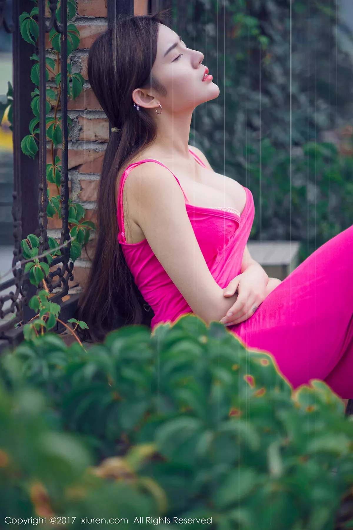 兔子写真