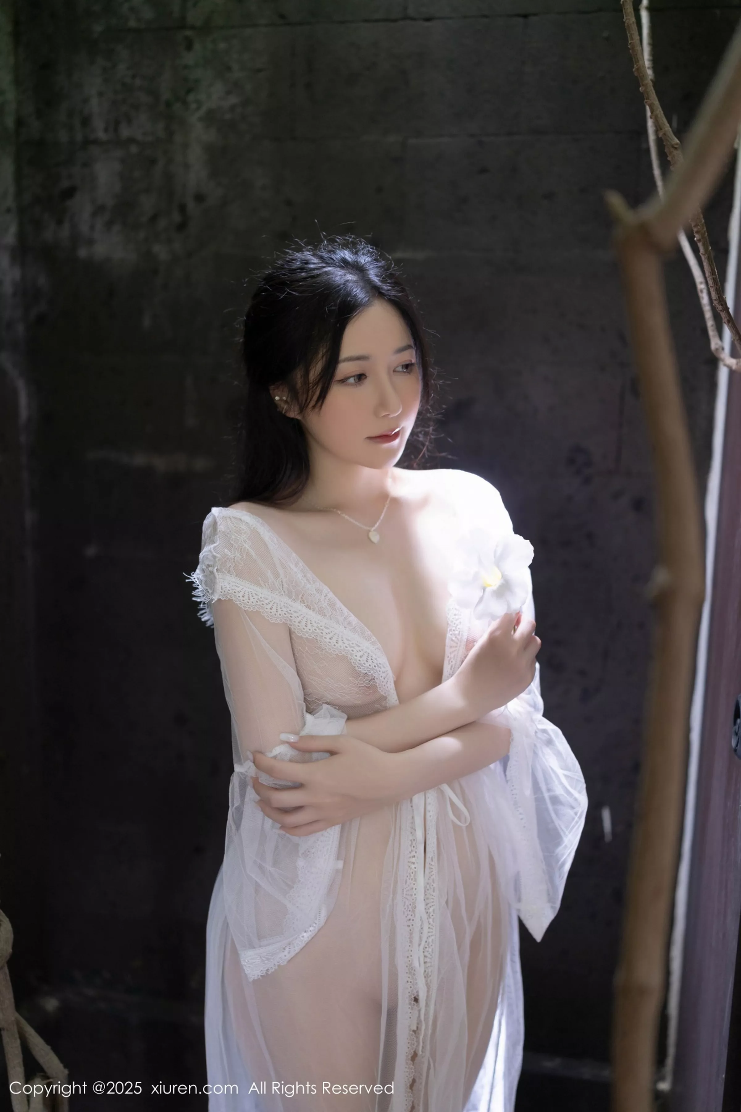 鱼子酱写真