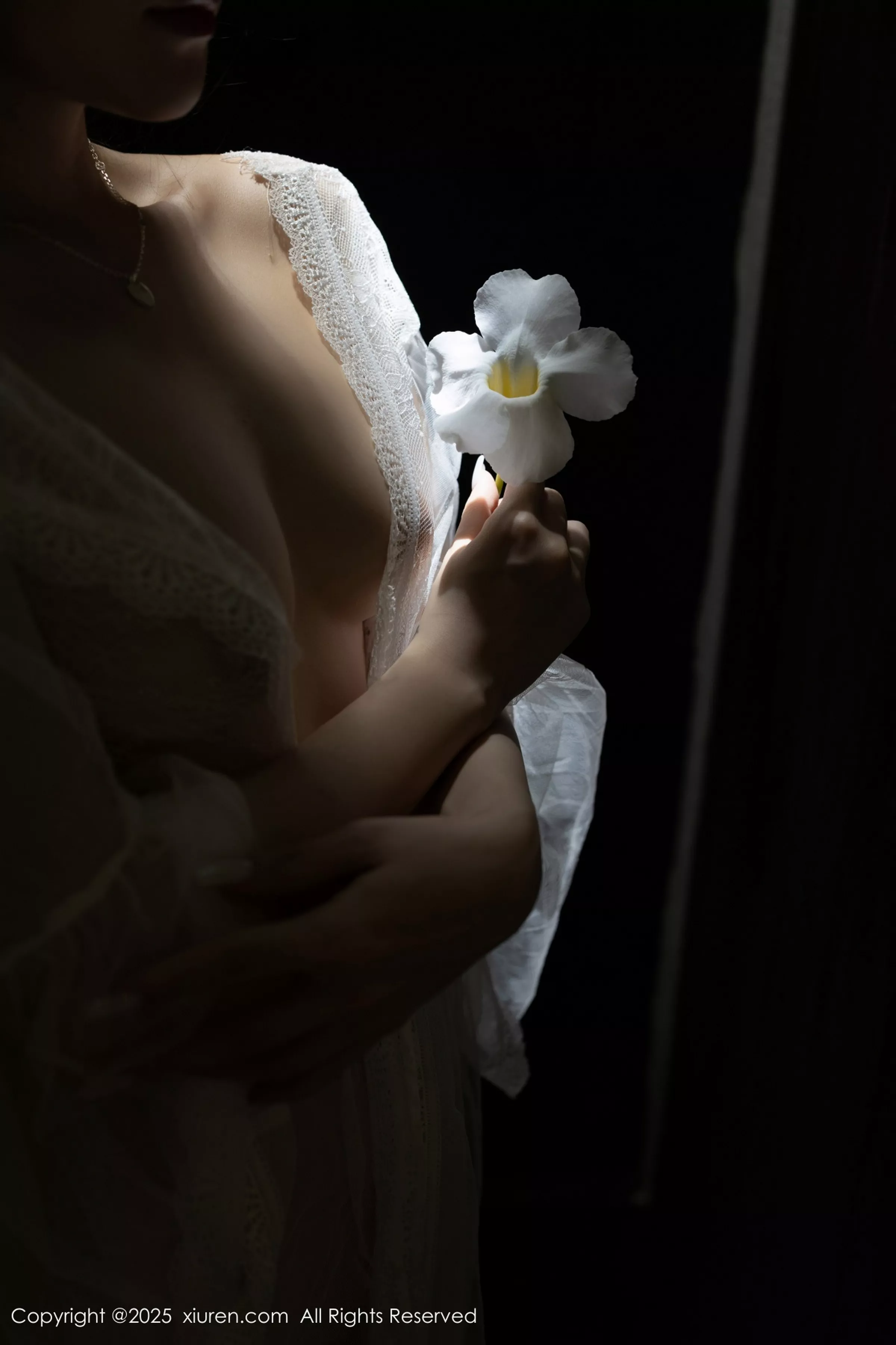 鱼子酱写真