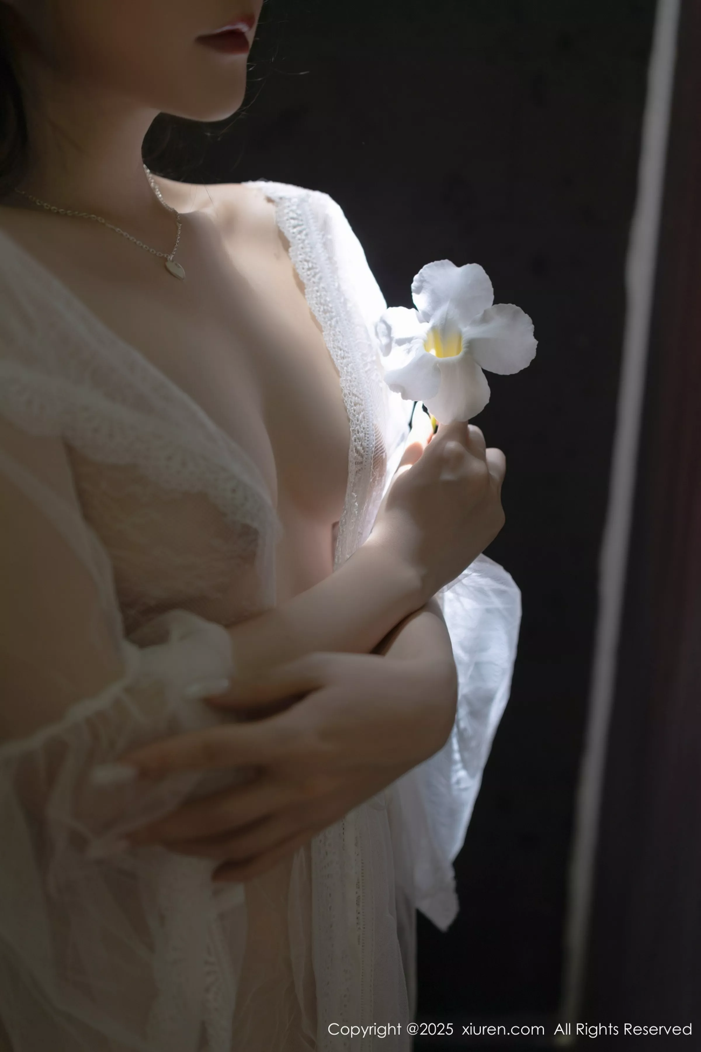 鱼子酱写真